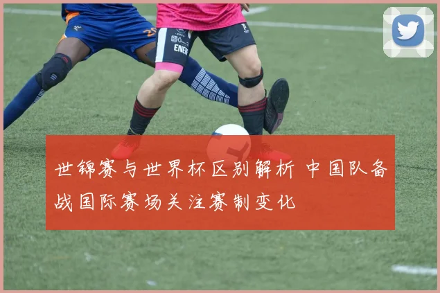 世锦赛与世界杯区别解析 中国队备战国际赛场关注赛制变化