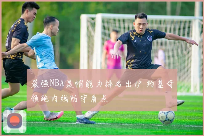 最强NBA盖帽能力排名出炉 约基奇领跑内线防守看点