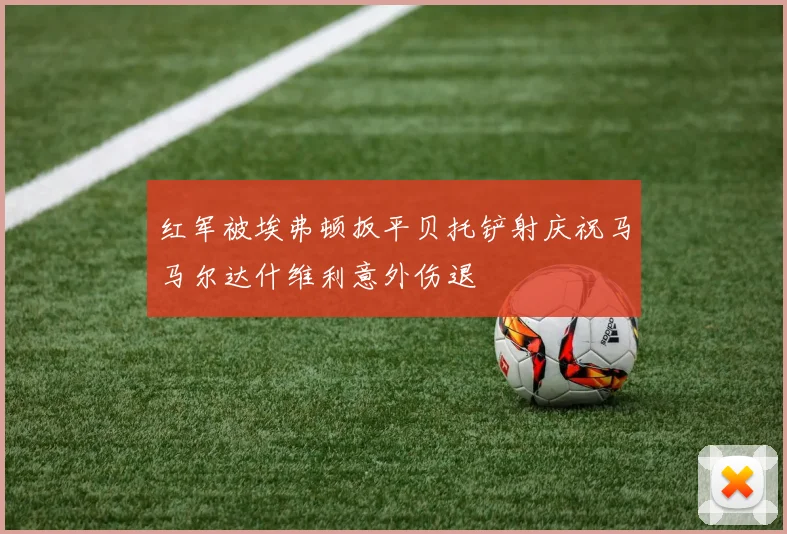 红军被埃弗顿扳平贝托铲射庆祝马马尔达什维利意外伤退